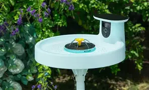 I Tested the Birdfy Bird Bath Pro for a Month: Here is My Verdict